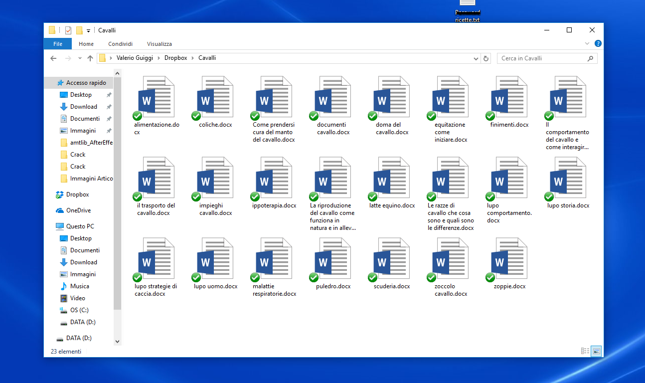 Guida dropbox 5